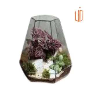 تراریوم | هایپر دکوراسیون جعفری